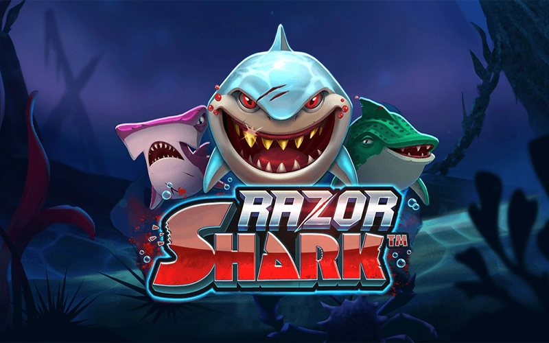 Take a closer look at Razor Shark at BC Game.