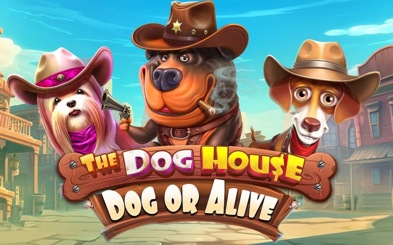 Dog House Dog or Alive is an exciting BC Game casino slot.