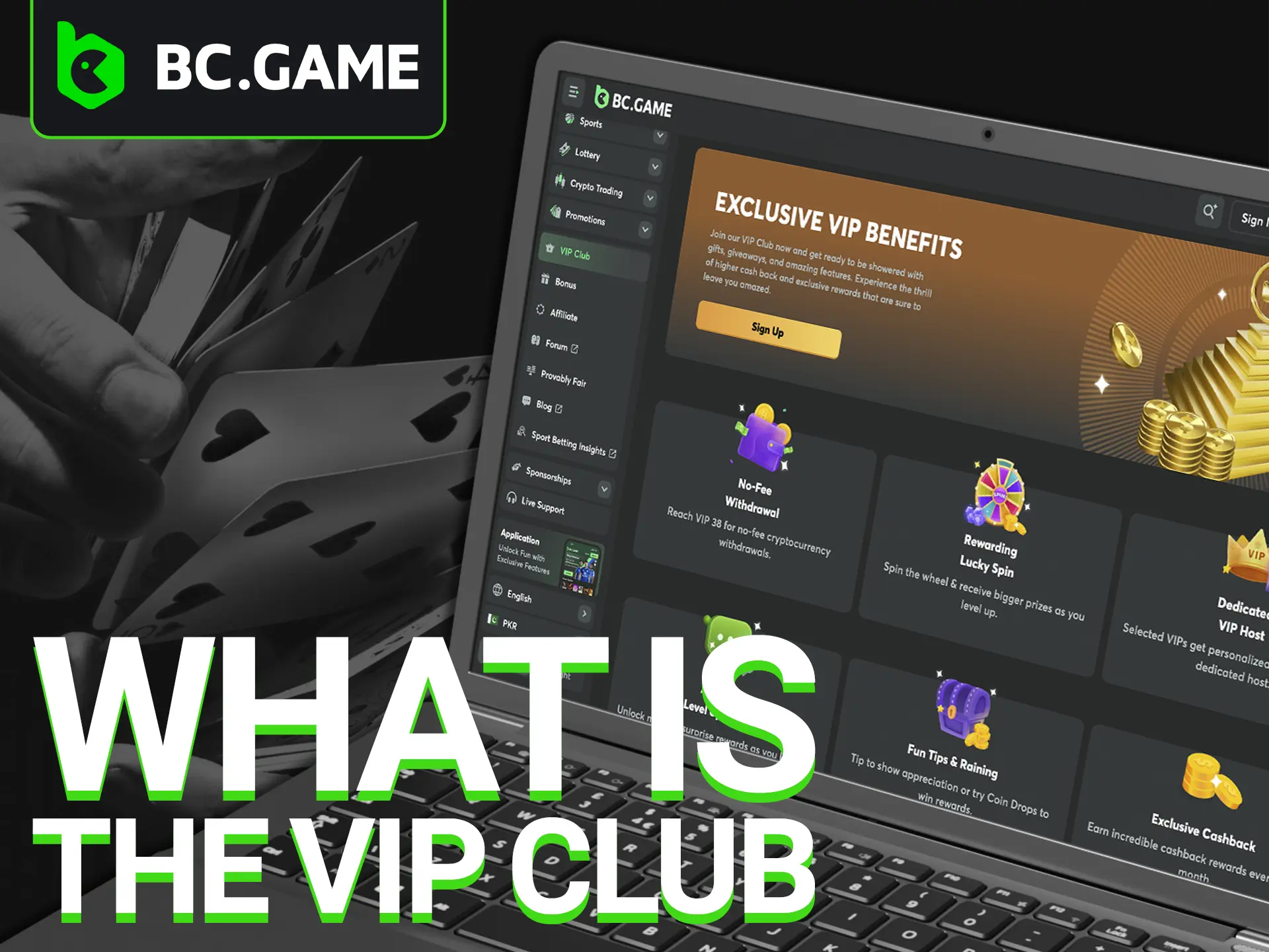 The VIP Club from BC Game Casino is a type of bonus that will help you dive into the world of gambling and betting with ease.