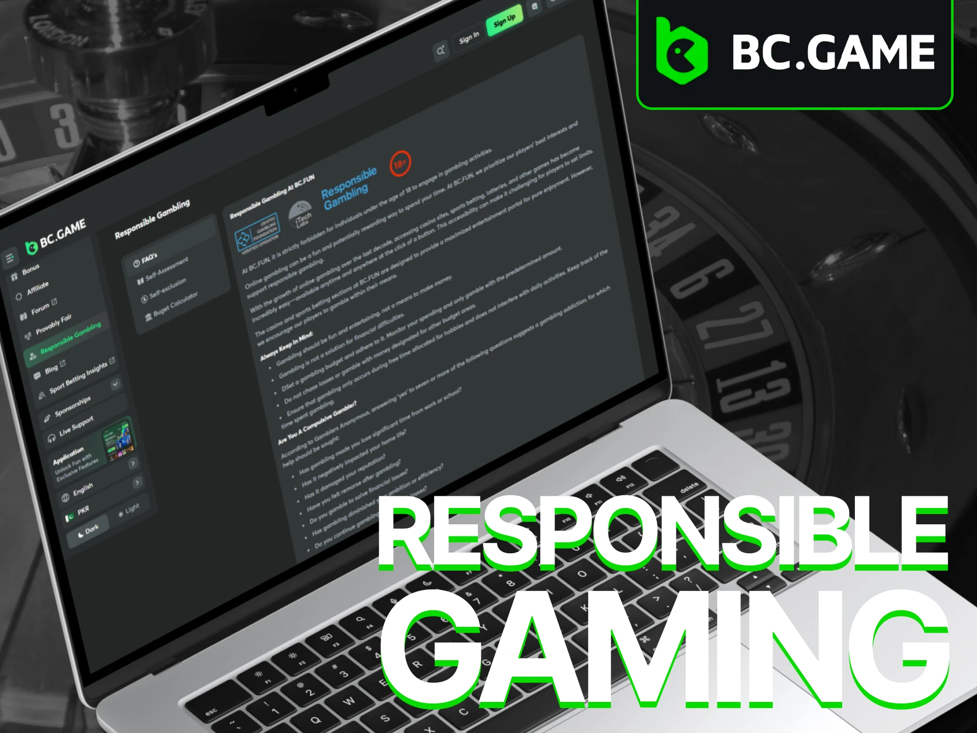 BC Game operates in accordance with responsible gaming policy.