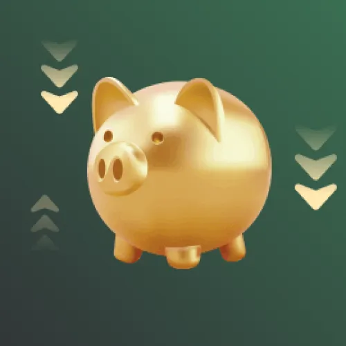 The BCD Rakeback bonus is available on BC Game.