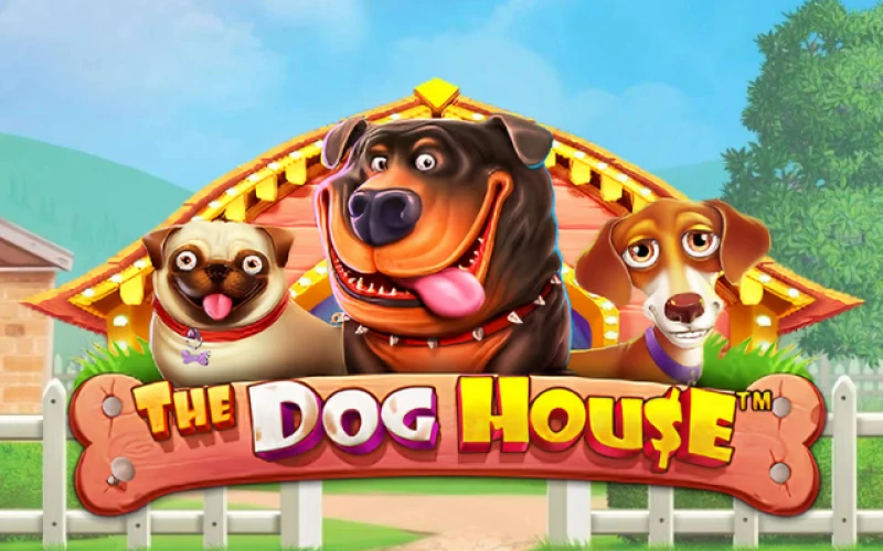 The Dog House slot is popular among BC Game Pakistan players.